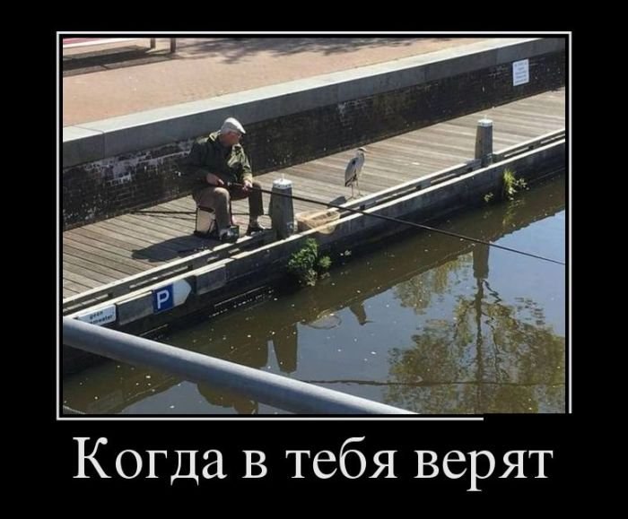 _R1vdkCzRQU