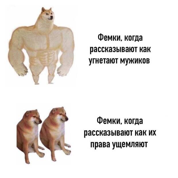 Приколы и мемы про BLM, феминисток и ЛГБТ