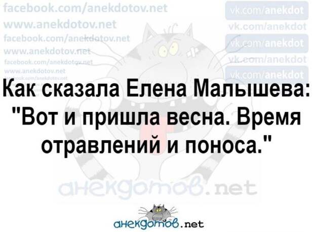 Анекдоты - лучшее от "анекдотовнет" Анекдоты - лучшее от "анекдотовнет"
