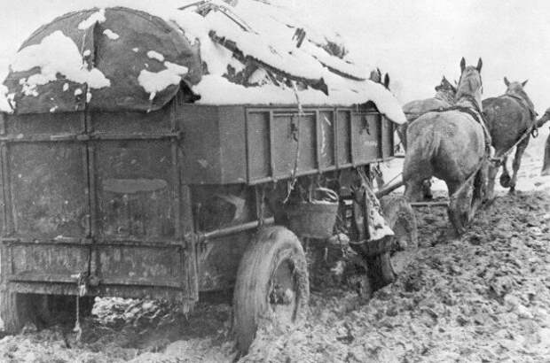 Операция Барбаросса. Редкие немецкие фотографии вторжения в Советский Союз в 1941 году