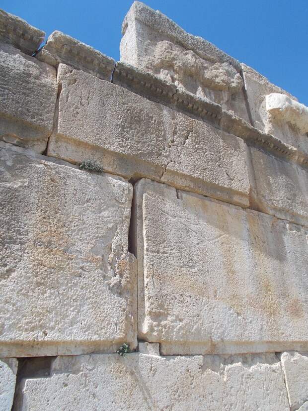 личный архив