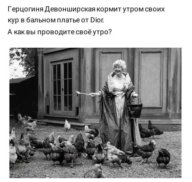 Таксисту, нашедшему забытые в салоне документы с грифом «совершенно секретно», предлагается застрелиться самому Таксисту, нашедшему забытые в салоне документы с грифом «совершенно секретно», предлагается застрелиться самому Покашляйте, сынишка, картину, стране, задумчиво, слова, такого, художник, свадьбы, грандиозно, время, некоторое, король, пошел, смотрит, работ, Скажите, нищий, принц, голову