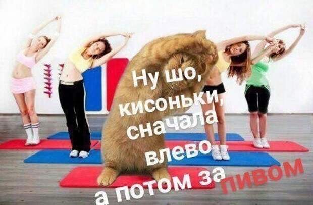 Воскресная деградация Воскресная деградация