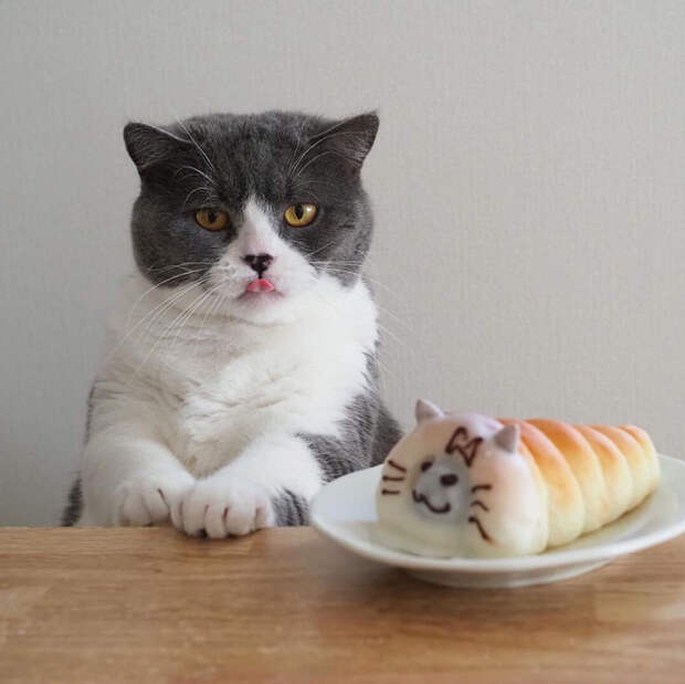 HSGBxeQjAK0 (700x699, 284Kb)