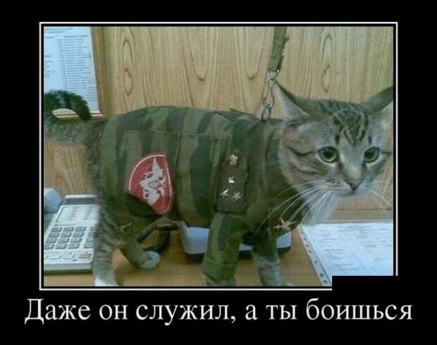 Демотиваторы (30 фото)