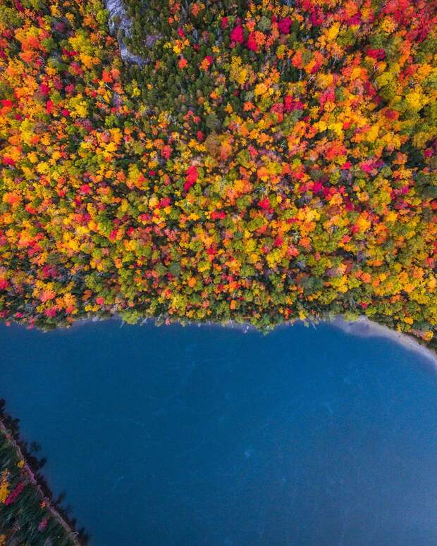 Красота осени в разных штатах Америки