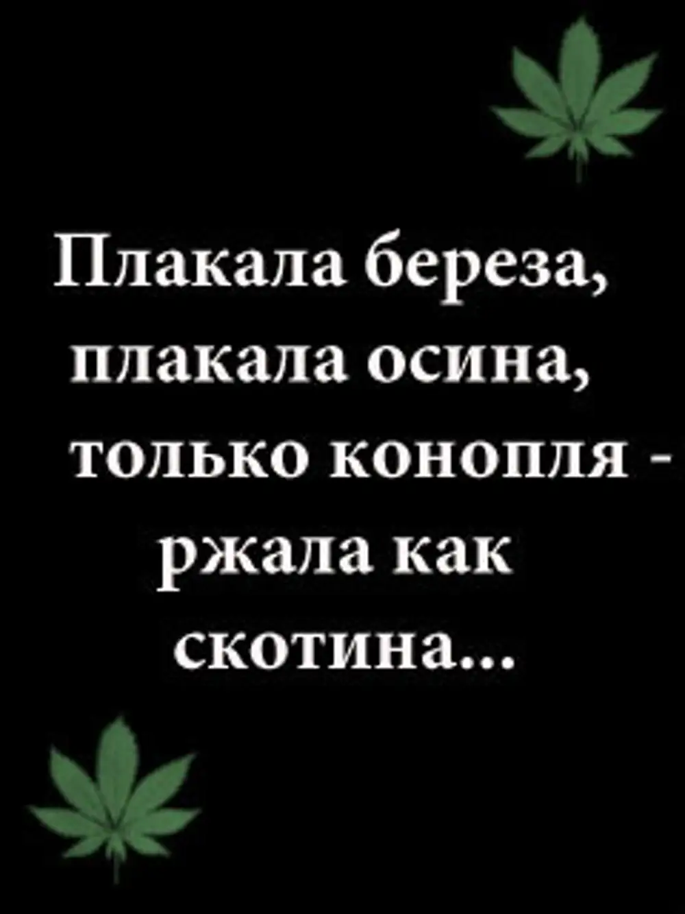 Плакала береза. Стих про анашу. Фразы про травку. Фразы про коноплю. Цитаты про травку.