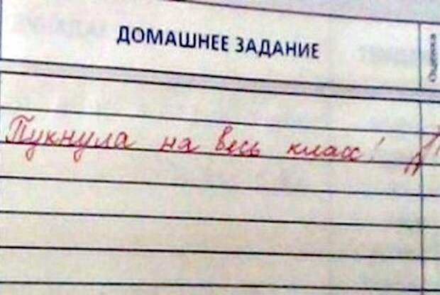 Прикольные замечания учителей из школьных тетрадей и дневников Прикольные замечания учителей из школьных тетрадей и дневников