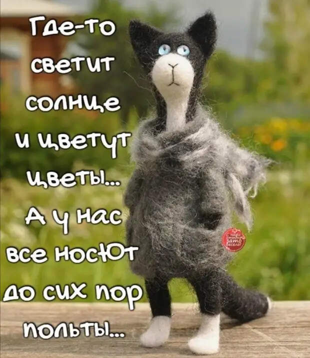 – Допустим, килограмм человека стоит 15000 рублей. Я не толстая, я дорогая. Девушка на миллион