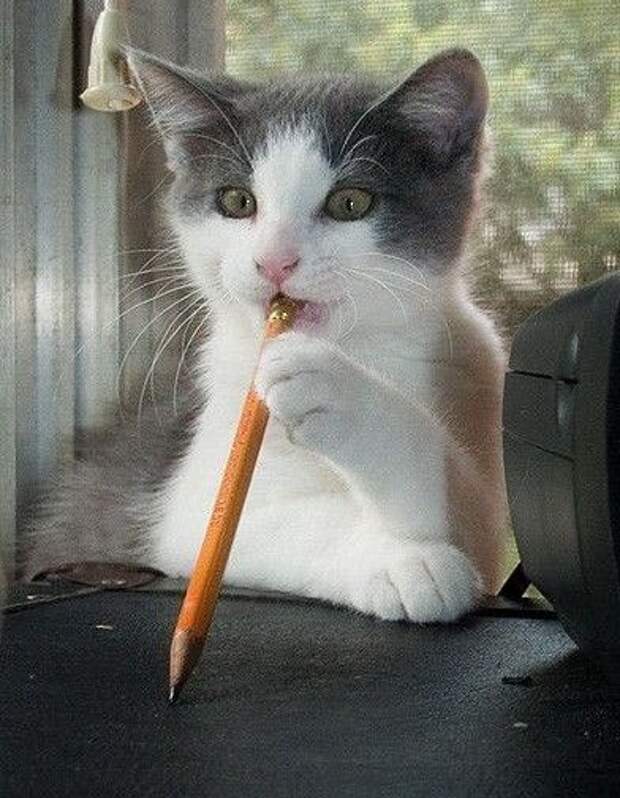 Давайте улыбаться вместе! :) (21повод)