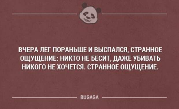 Никто не бесит. Казус жизненный цитаты.