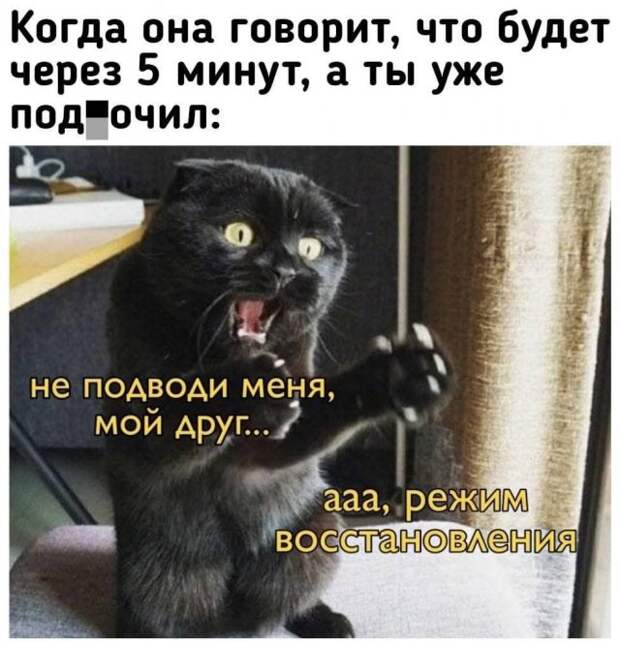 Мемы и приколы про 