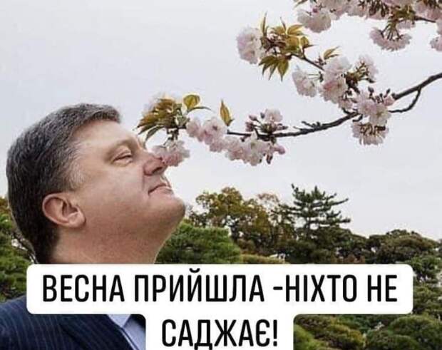 Лучшая шутка дня от Зеленского