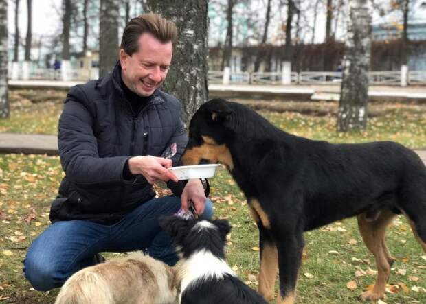 Миллионы псу под хвост: сколько денег тратят в России на бездомных животных