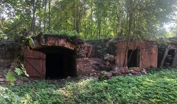 В Стрельне в Орловском парке сдают в аренду руины на 49 лет