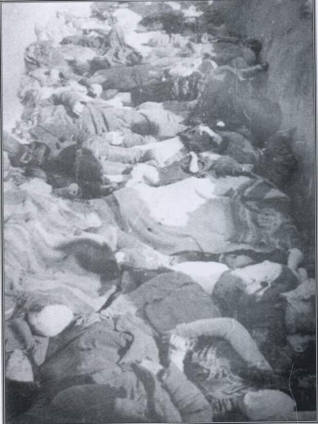 Польское село Липники (Костопольский район Ровенской обл.), 26 марта 1943 г. Ночью на эту деревню напала банда под командованием героя УПА Ивана Литвинчука по кличке «Дубовый». Началась дикая резня. Герои убили 179 человек, в том числе 51 ребенка. Среди погибших — 174 поляка, 4 еврея и одна русская женщина. На снимке: жертвы резни в Липниках в братской могиле