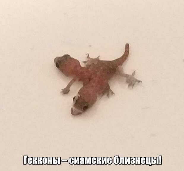 Мир никогда не прекратит удивлять нас Мир никогда не прекратит удивлять нас
