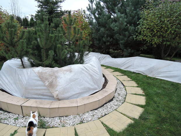 DSCN7454.JPG Круглая клумба запакована.