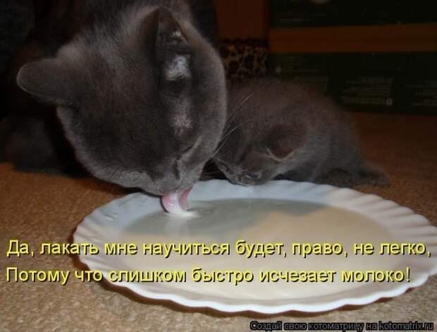 Мысли вслух :) #050614
