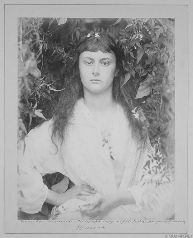 Настоящая Алиса из “Алиса в стране чудес”, 1872 год. звезды, история, фото