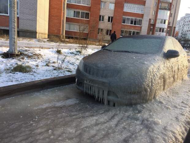 Собачий холод! Поймет тот, кто водит зимой  зима, прикол, снег, юмор