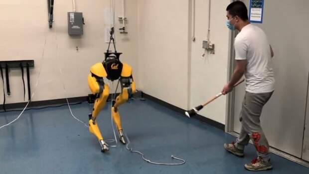 artificial intelligence cassie robot machine learning walking