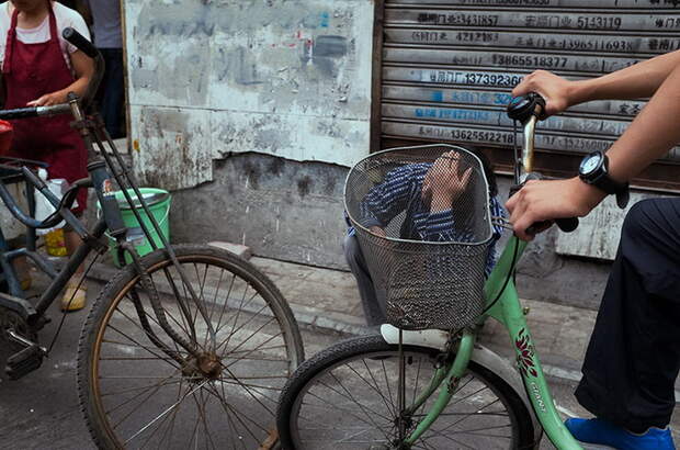 Уличная фотография Tao Liu Уличная фотография Tao Liu
