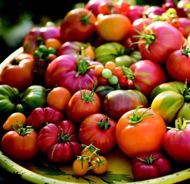 Не охлаждать! 12 продуктов, которые боятся холодильника продукты которые нельзя хранить в холодильнике, не хранить в холодильнике