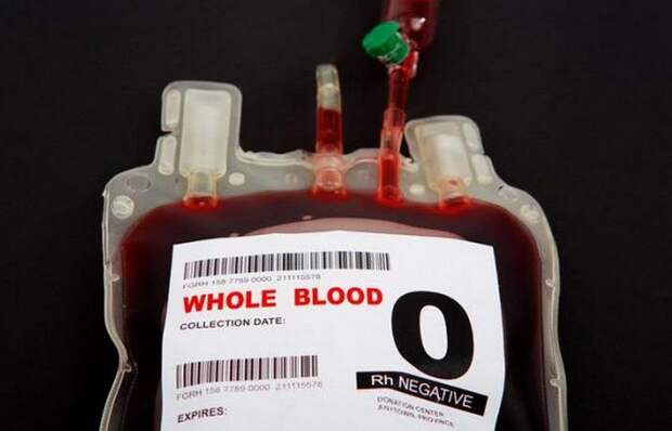 Переливание крови: кровь трупов.