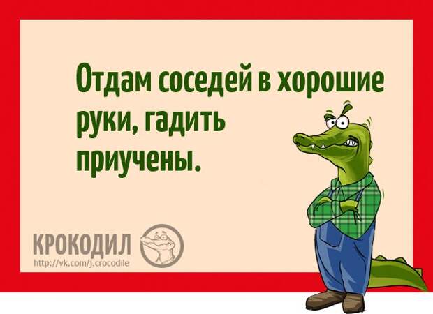 https://pp.vk.me/c626217/v626217611/22915/wh3geqt8oEI.jpg