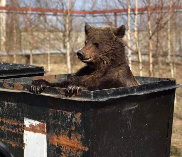 Веселые фотографии и прикольные картинки на вечер (11 фото)