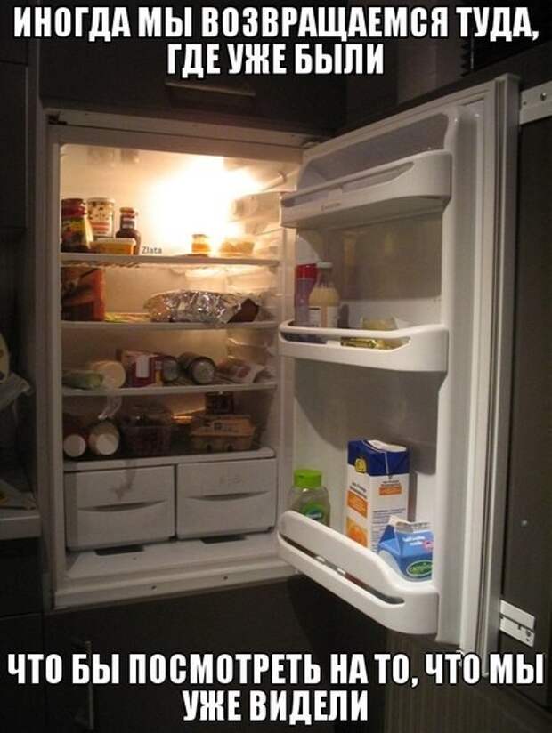 Его сиятельство, кухонный самодержец - холодильник прикол, смешное, холодильник