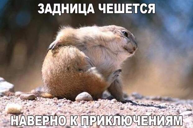 Ой, всё!