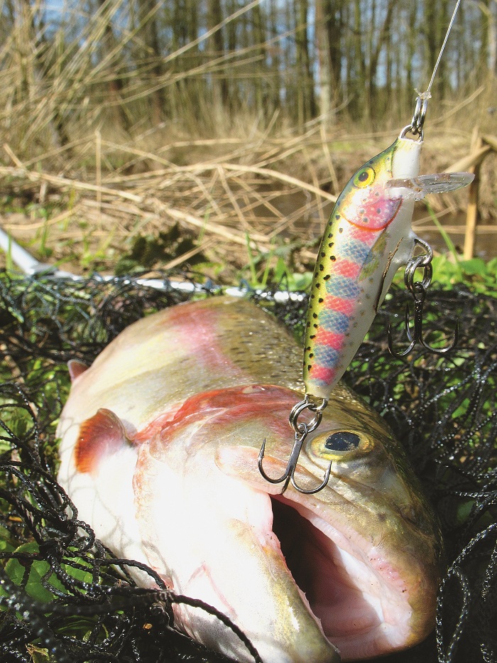 Countdown от Rapala — потрясающая приманка для ловли на ручье. Countdown от Rapala — потрясающая приманка для ловли на ручье.