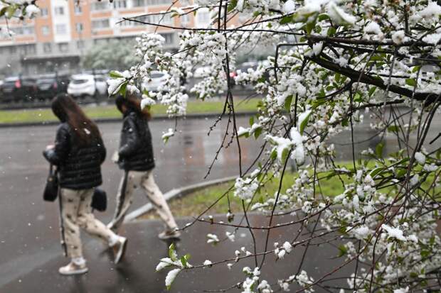 Москвичей предупредили о снеге