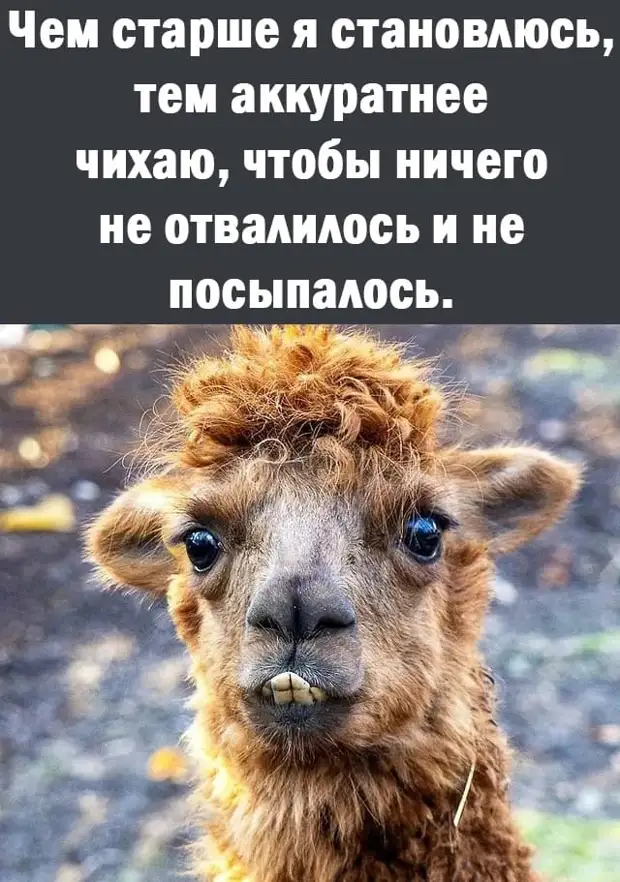 Жена - Мужу: - Не смей говорить, когда я тебя перебиваю Жена - Мужу: - Не смей говорить, когда я тебя перебиваю пусть, только, молодой, красивый, богатый, холостой, хочешь, Почему, сервиса, яблочко, замертвоДиректор, Третий, делать, точно, Забрала, после, когда, зачем, ремонтирую, мужик