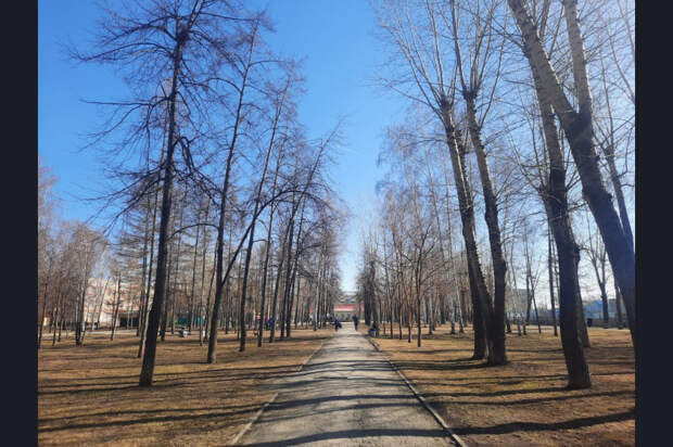 Жители Новосибирской области могут выбрать объекты благоустройства до конца апреля