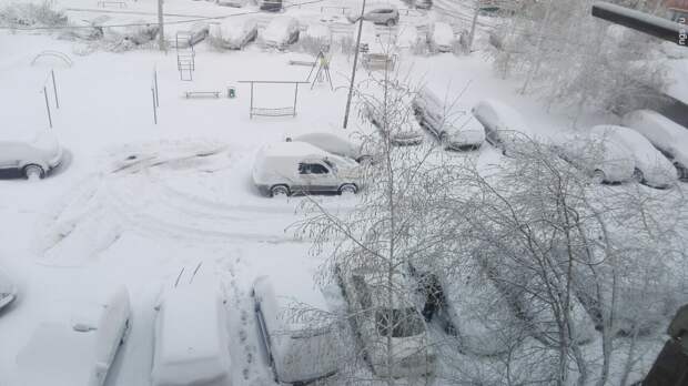 Красноярск завалило 20-сантиметровым слоем снега