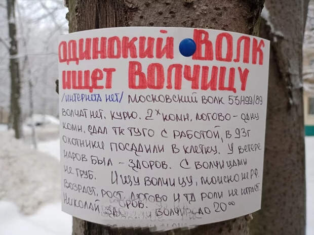 20 объявлений, которые точно сведут вас с ума 20 объявлений, которые точно сведут вас с ума