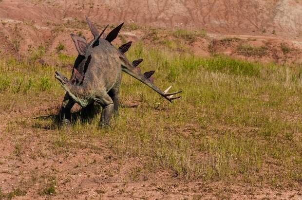 ZMES: ученые разошлись во мнениях об умственных способностях тираннозавра