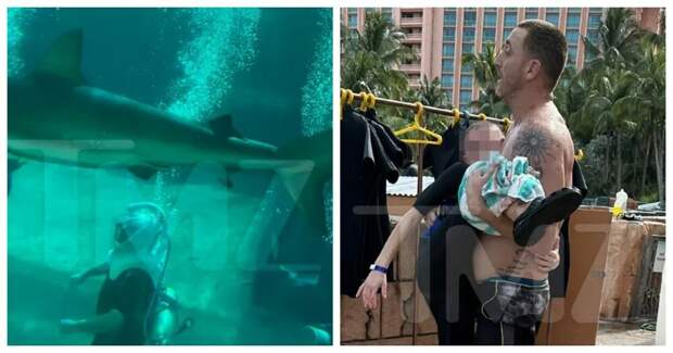 10-летний мальчик пострадал во время погружения к акулам