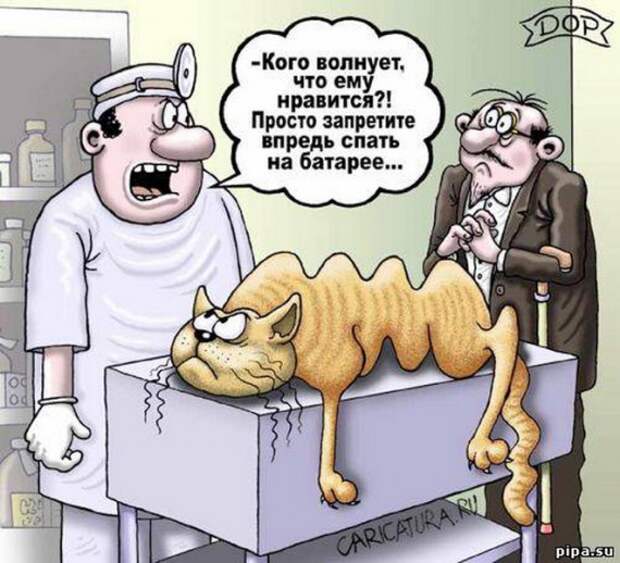 Смешные карикатуры