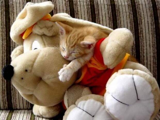 Давайте улыбаться вместе! :) (21повод)