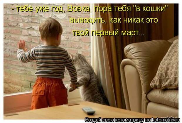 Лучшие котоматрицы недели (50 фото)