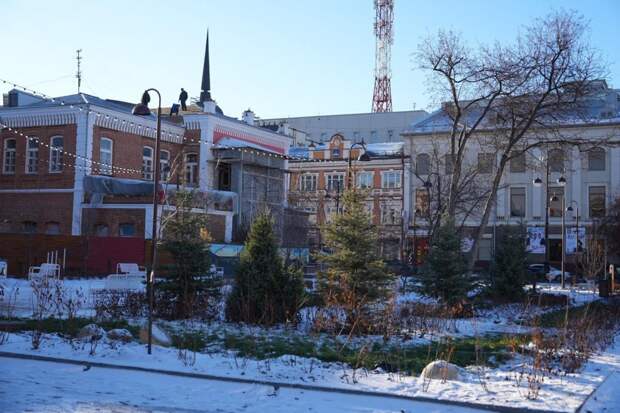 В двух новых скверах Тюмени проведена высадка деревьев