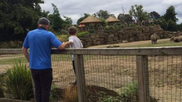 Отец пустил своего ребенка в вольер с носорогами для красивого селфи носорог, селфи