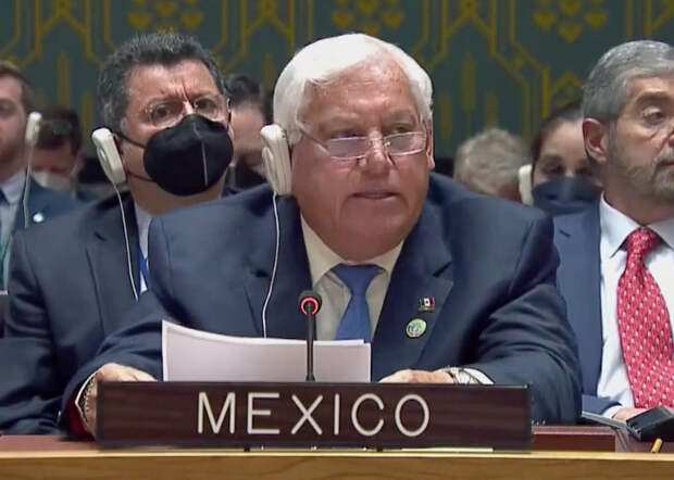 I. Заседание Совета Безопасности ООН №9036 за 14 минут Политика, ООН, Совбез ООН, Длиннопост