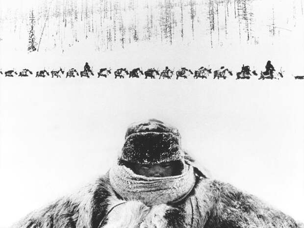 Юный житель Чукотки. Геннадий Копосов, 6 марта 1966 года, Чукотский АО, собрание «РИА Новости».
