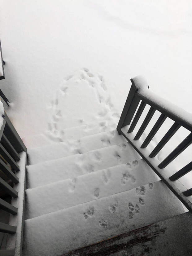 59923106_original (525x700, 211Kb)