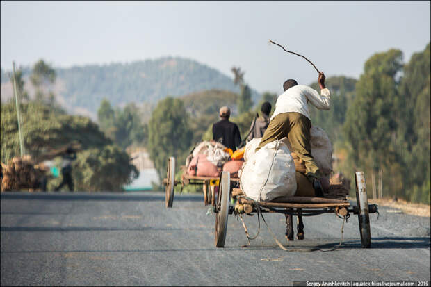 Жизнь на эфиопских дорогах